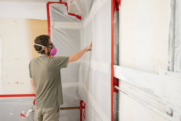 Mold Removal for HVAC Installations in Canadian, TX