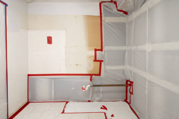 Professional Mold Removal in Canadian, TX