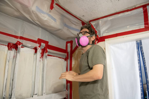 Asbestos and Lead Testing During Mold Inspection in Canadian, TX