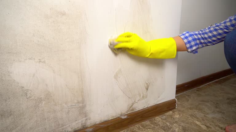 Mold Documentation for Insurance Claims in Canadian, TX