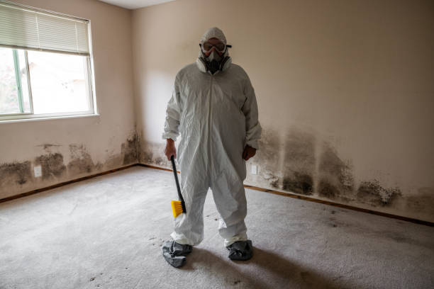 Best Attic Mold Removal  in Canadian, TX